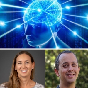 Unlocking the Enigma of Brain Connectivity